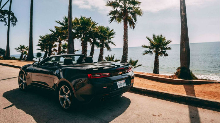 Chevrolet Camero in Florida
