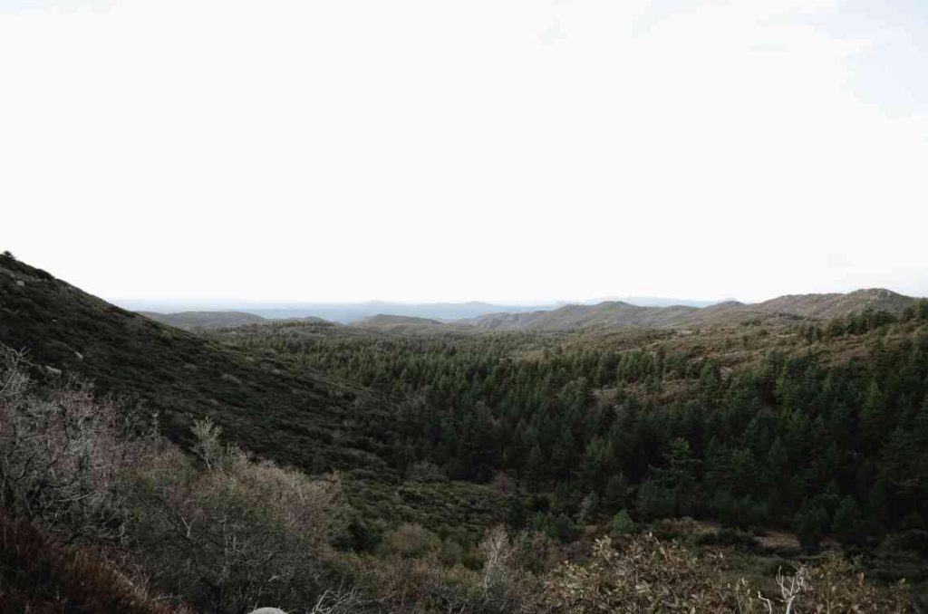 Mount Laguna in the Laguna Mountains of California