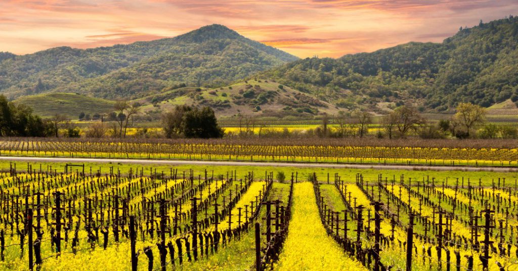 Napa Valley, Road trips from San Francisco