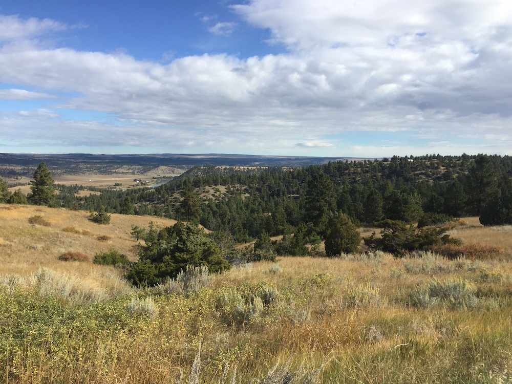 Glamping Destination Philipsburg | SIXT