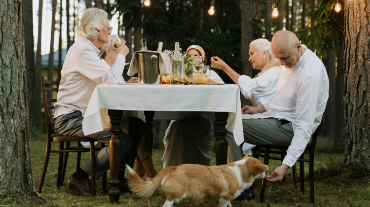 dining with dogs