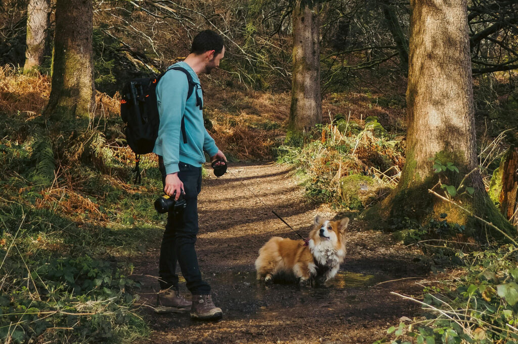 Hiking with dogs
