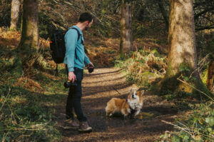 Tips for Dog-Friendly Hiking Trips