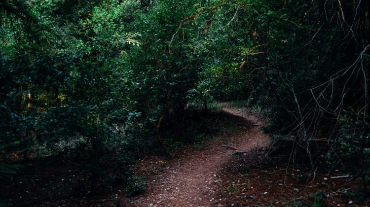 haunted roads