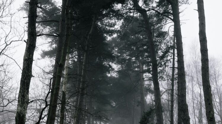 haunted road