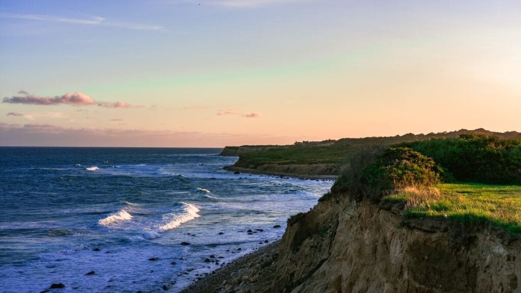 hamptons