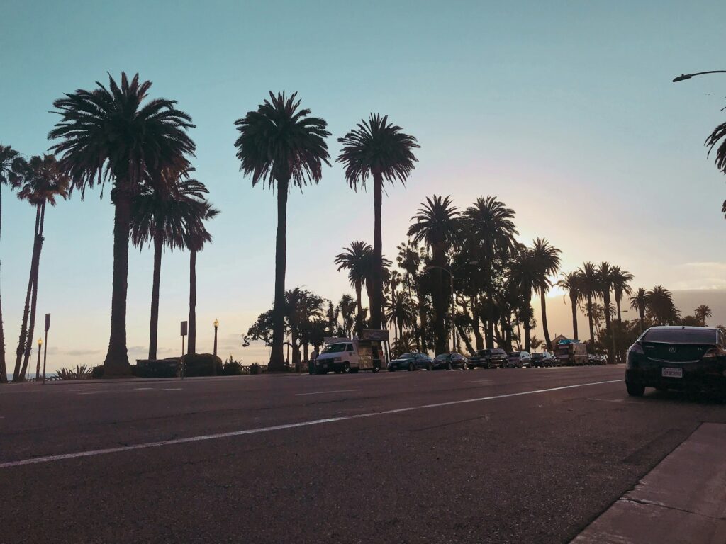 View of a broad street with a row of parked cars.