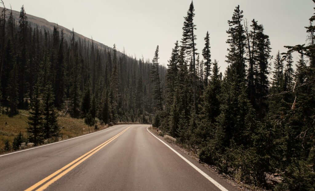 Winding asphalt road through a dense forest of tall evergreen trees under a hazy sky.
