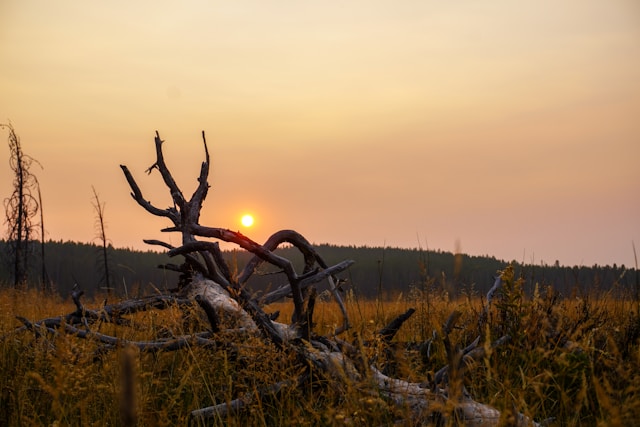 Yellowstone-sunset