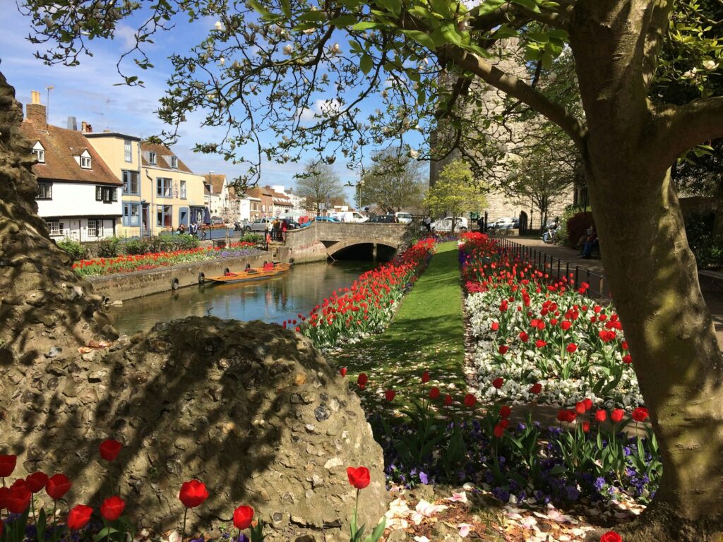 A field with poppies, next to a river with a stone bridge and houses lined up in Canterbury, Kent. 