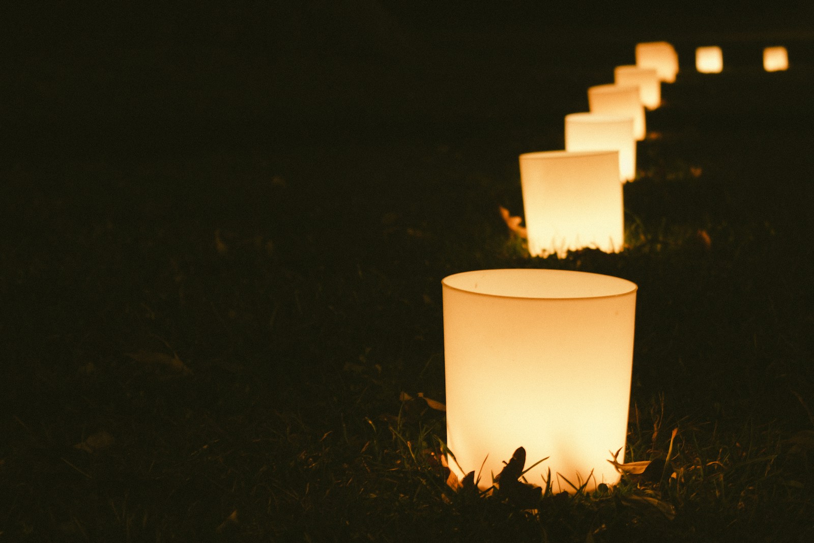 Row of glowing paper lanterns lit from within, lined up in the dark grass at night